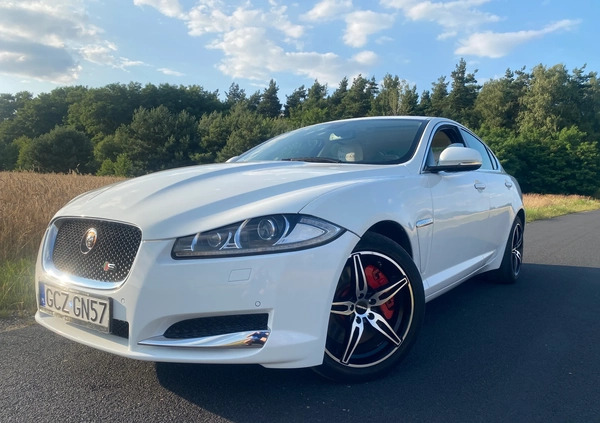 Jaguar XF cena 61500 przebieg: 62000, rok produkcji 2013 z Radomsko małe 137